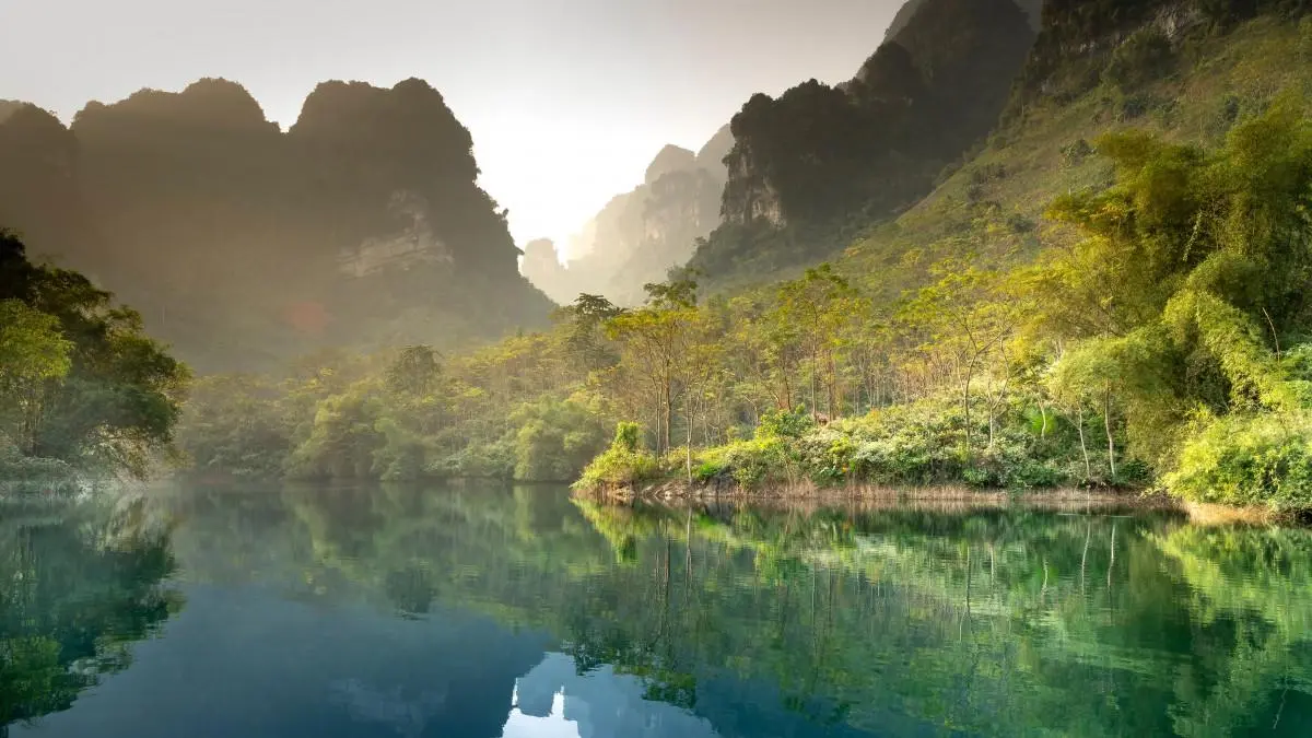 精密高效